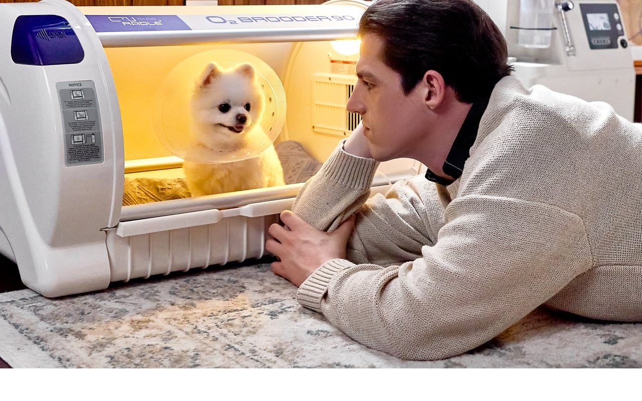 Домашний уход за собакой в Curadle Pet O2 Brooder 90