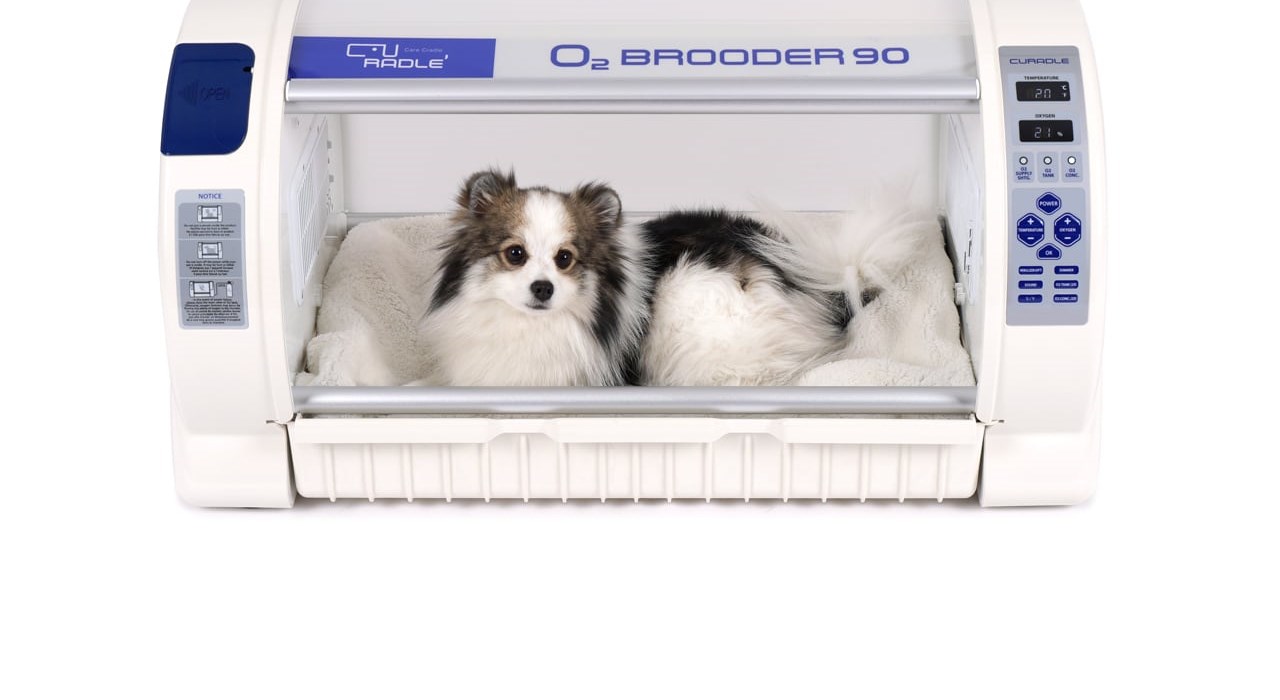 Внутреннее пространство Curadle Pet O2 Brooder 90