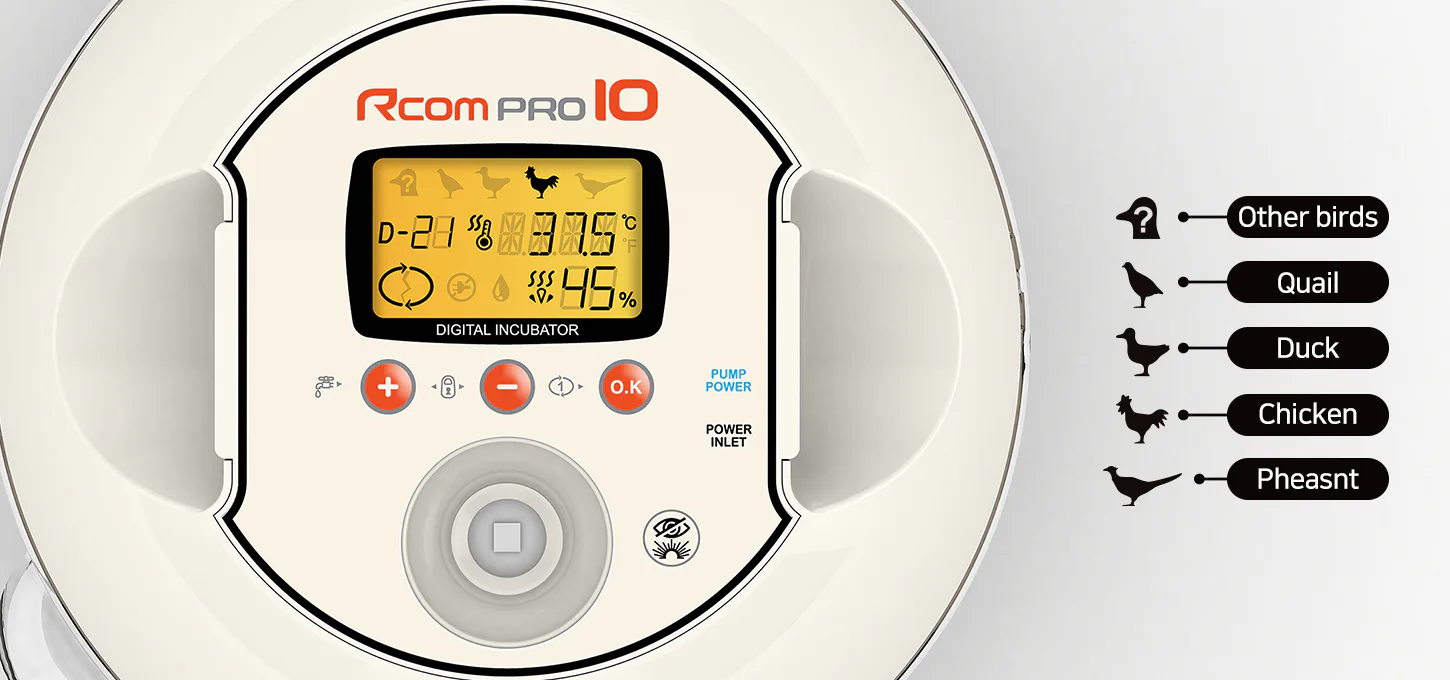 Rcom PRO PLUS 10: Панель управления и программы птицы