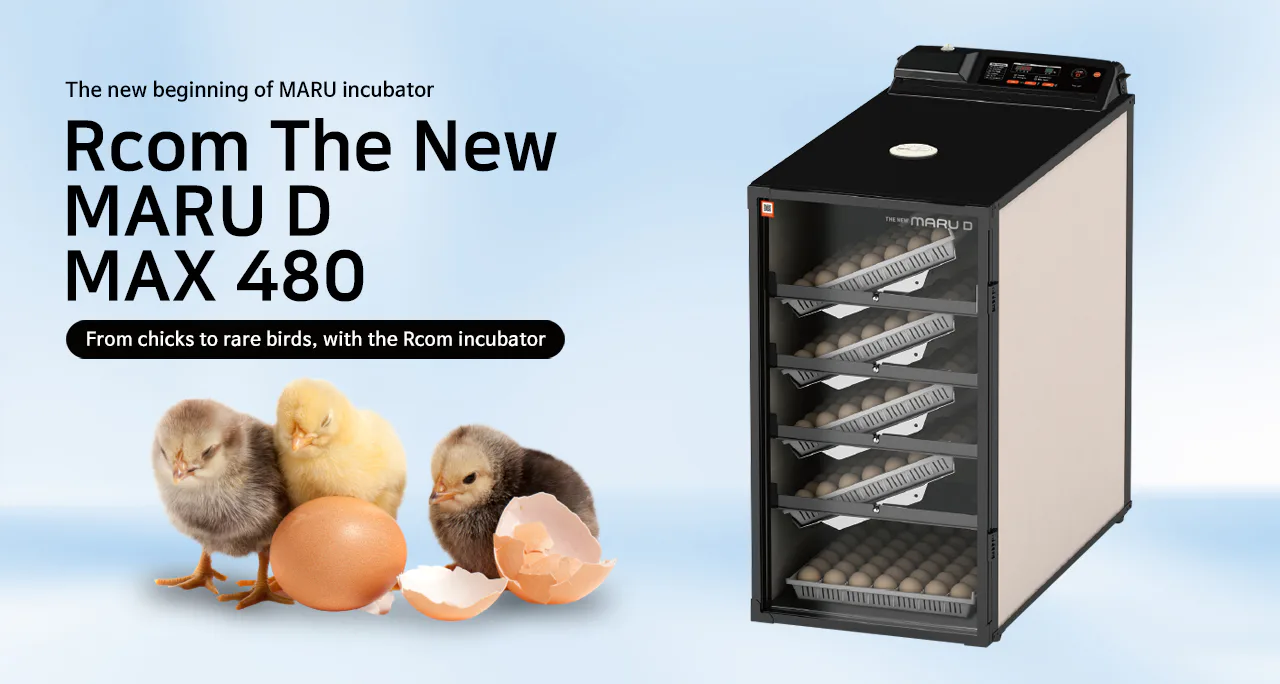 Rcom The New MARU D MAX 480: Обзор модели The New MARU D