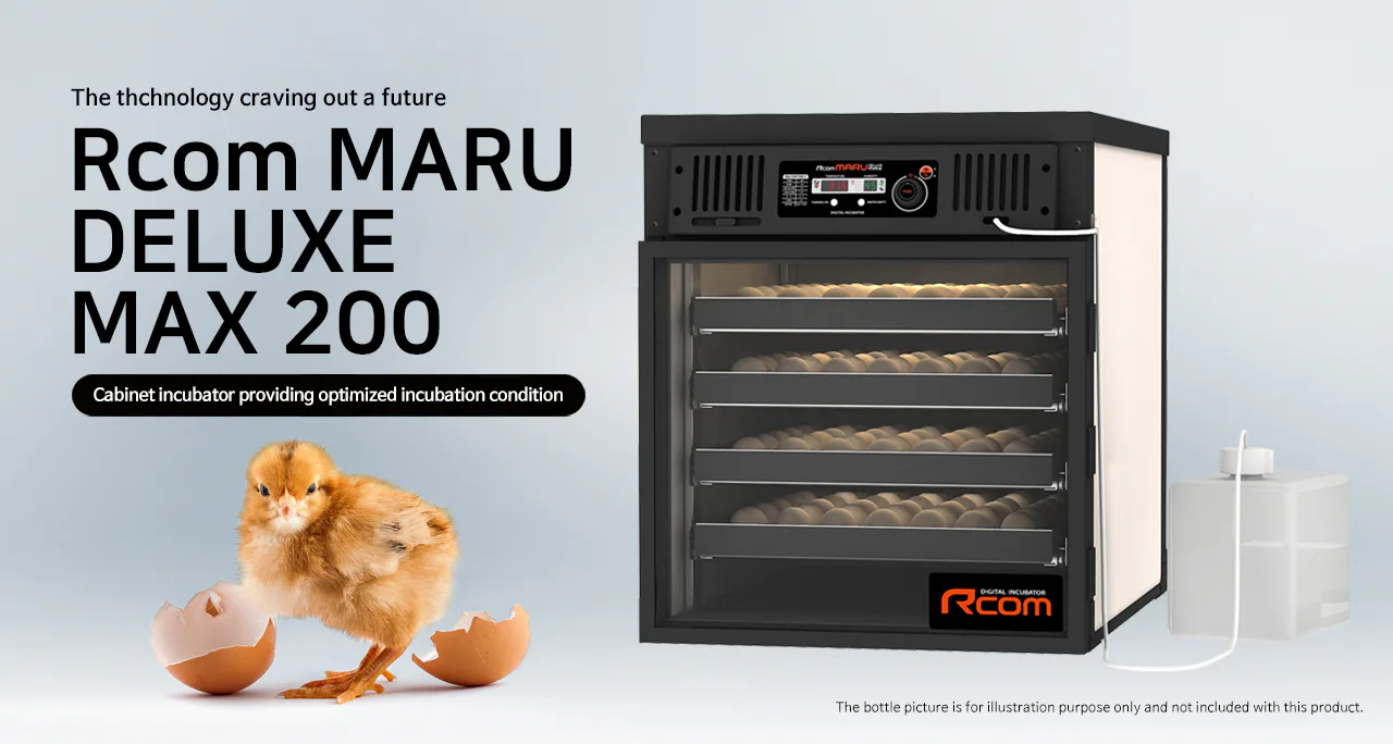 Rcom MARU DELUXE MAX 200: Обзор MARU DELUXE