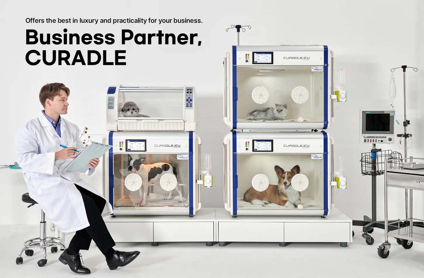 Curadle Smart Incubator PRO PLUS 160C V3: Оборудование Curadle в ветеринарной клинике