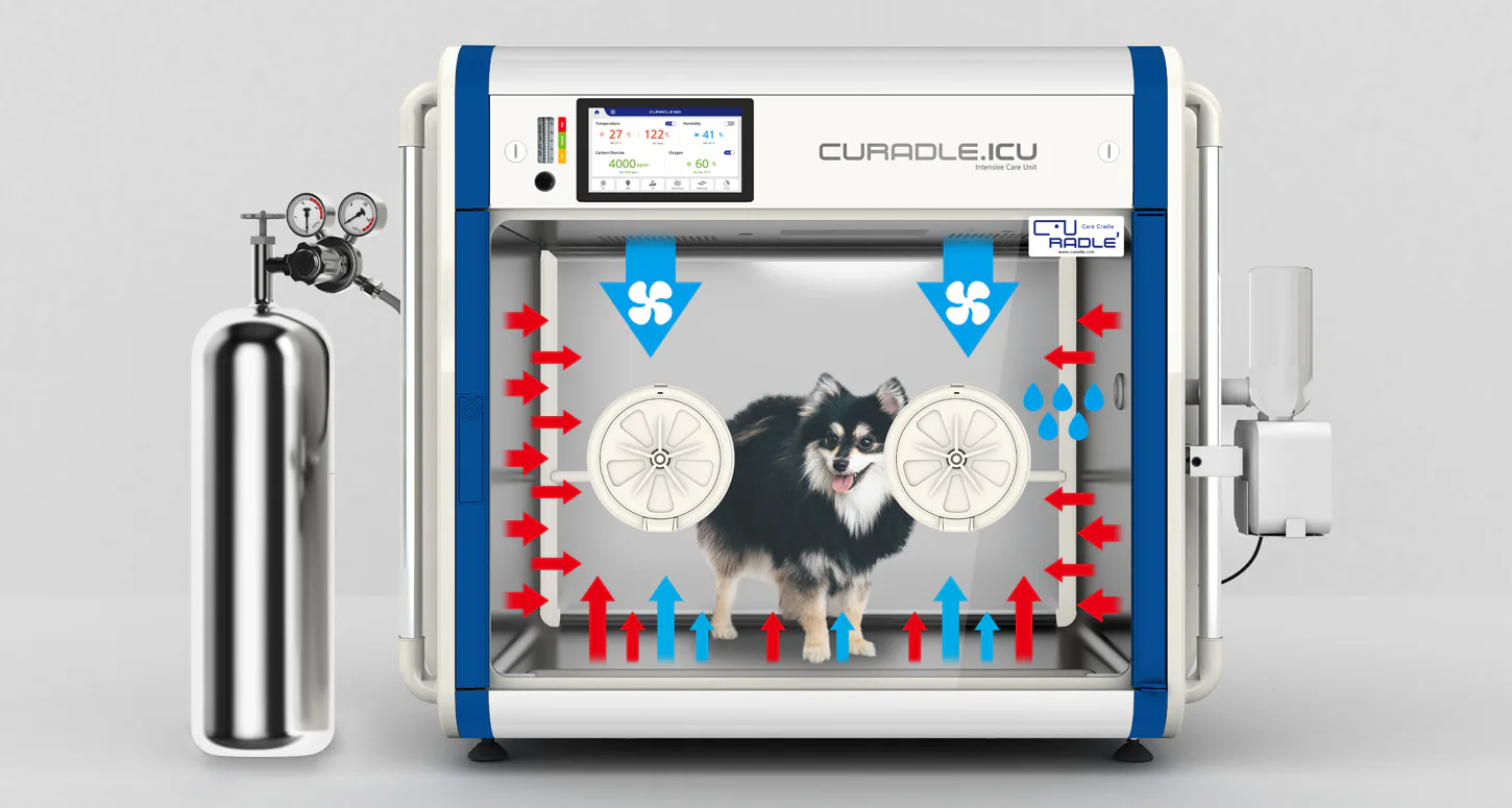 Curadle Smart Incubator PRO PLUS 160C V3: Подача и циркуляция кислорода