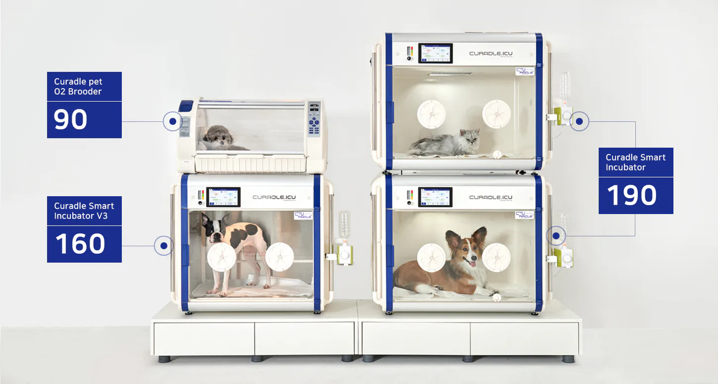 Curadle Smart Incubator PRO PLUS 160C V3: Сравнение размеров камер Curadle