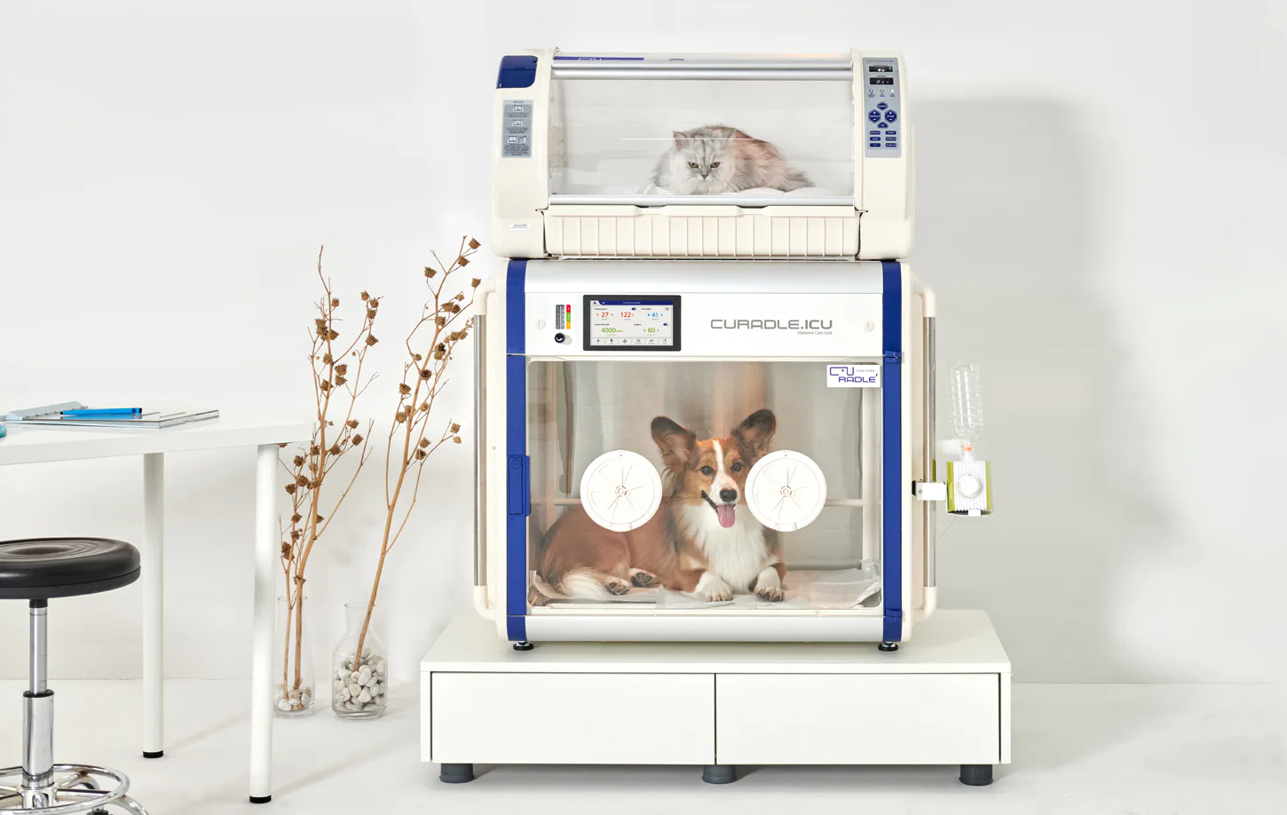 Curadle Smart Incubator PRO PLUS 160C V3: Curadle 160 в интерьере клиники