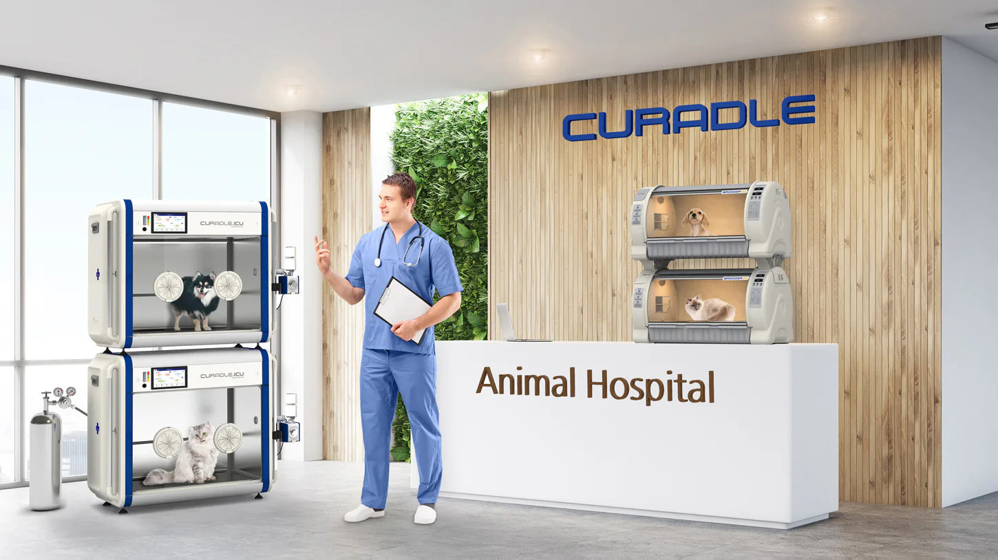 Curadle Smart Incubator PRO PLUS 160C V3: Размещение оборудования в клинике