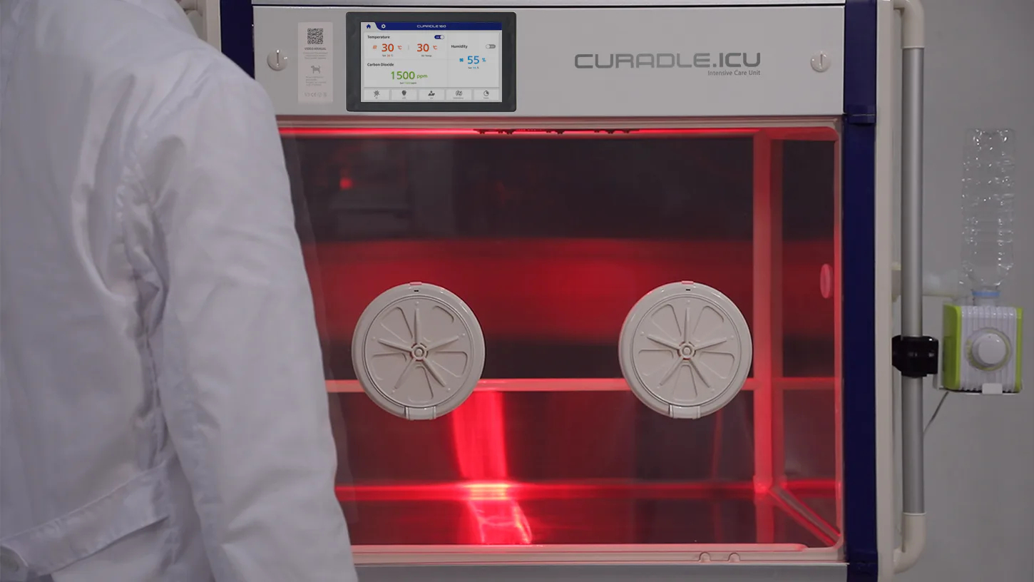 Curadle Smart Incubator PRO 160 V3: Инфракрасный режим обработки