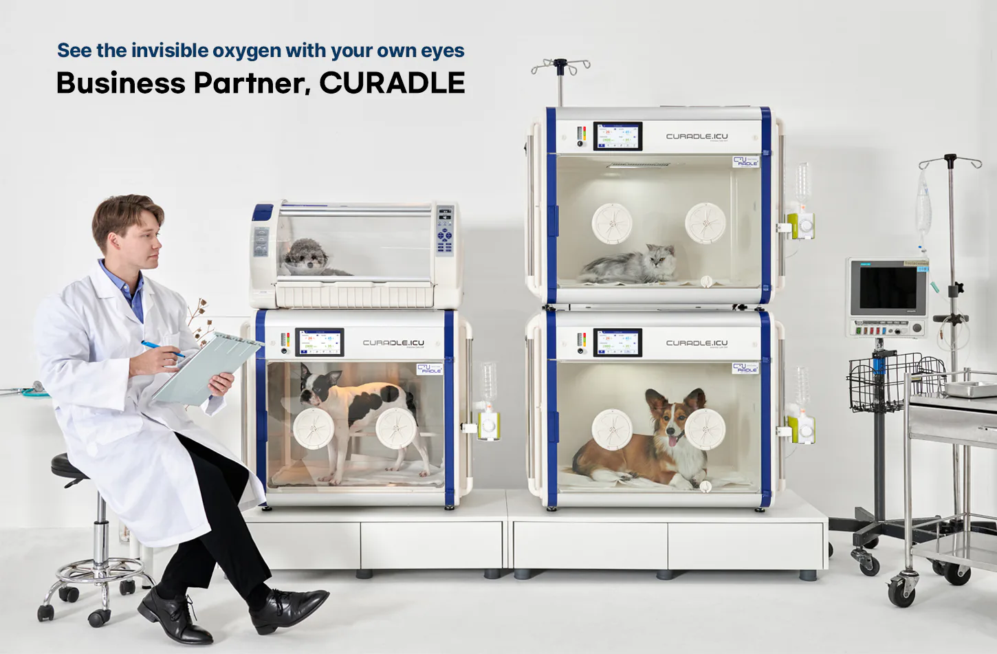 Curadle Smart Incubator ULTRA 190: Оборудование Curadle в ветеринарной клинике