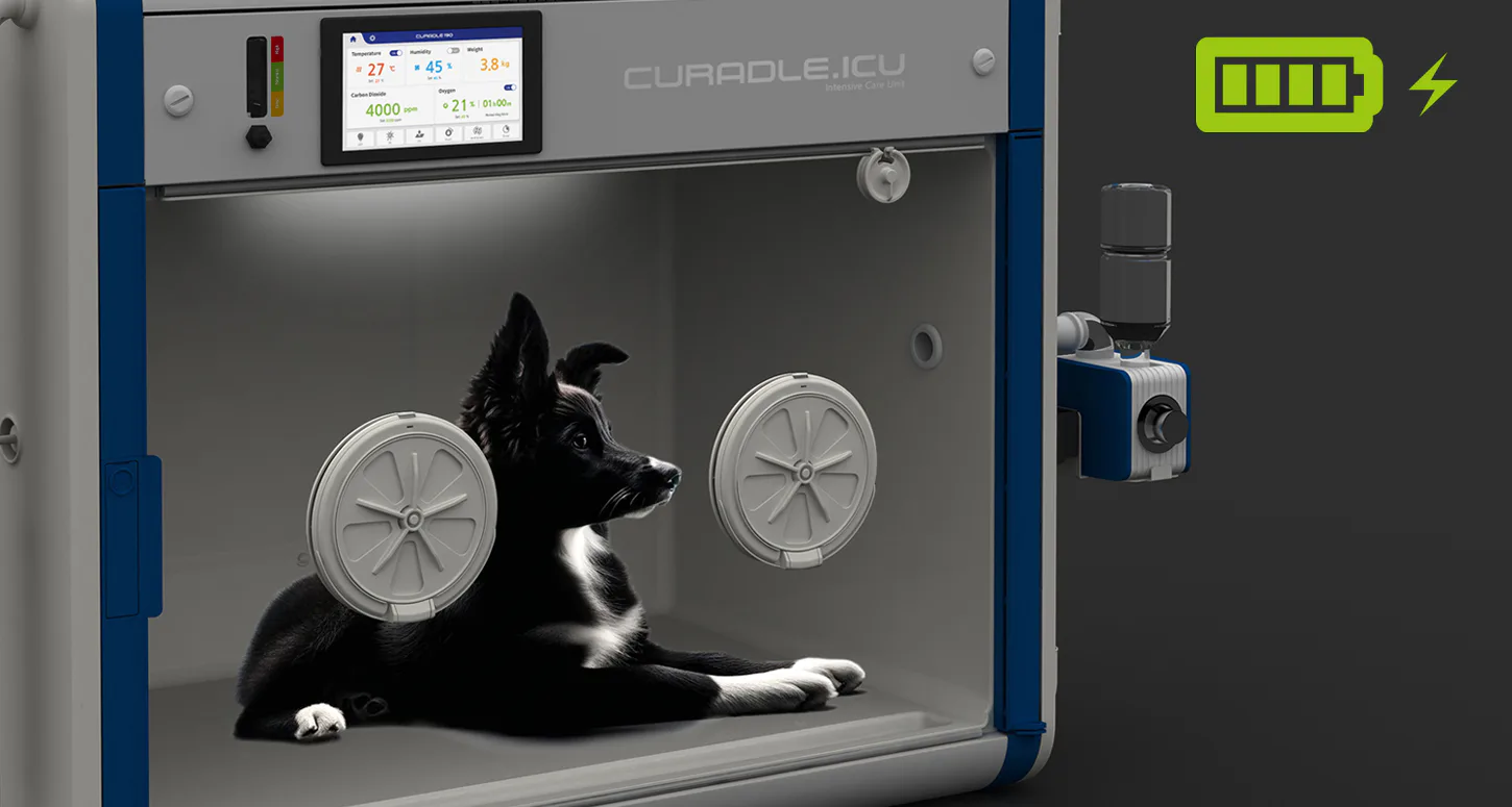 Curadle Smart Incubator ULTRA 190: Резервное питание камеры