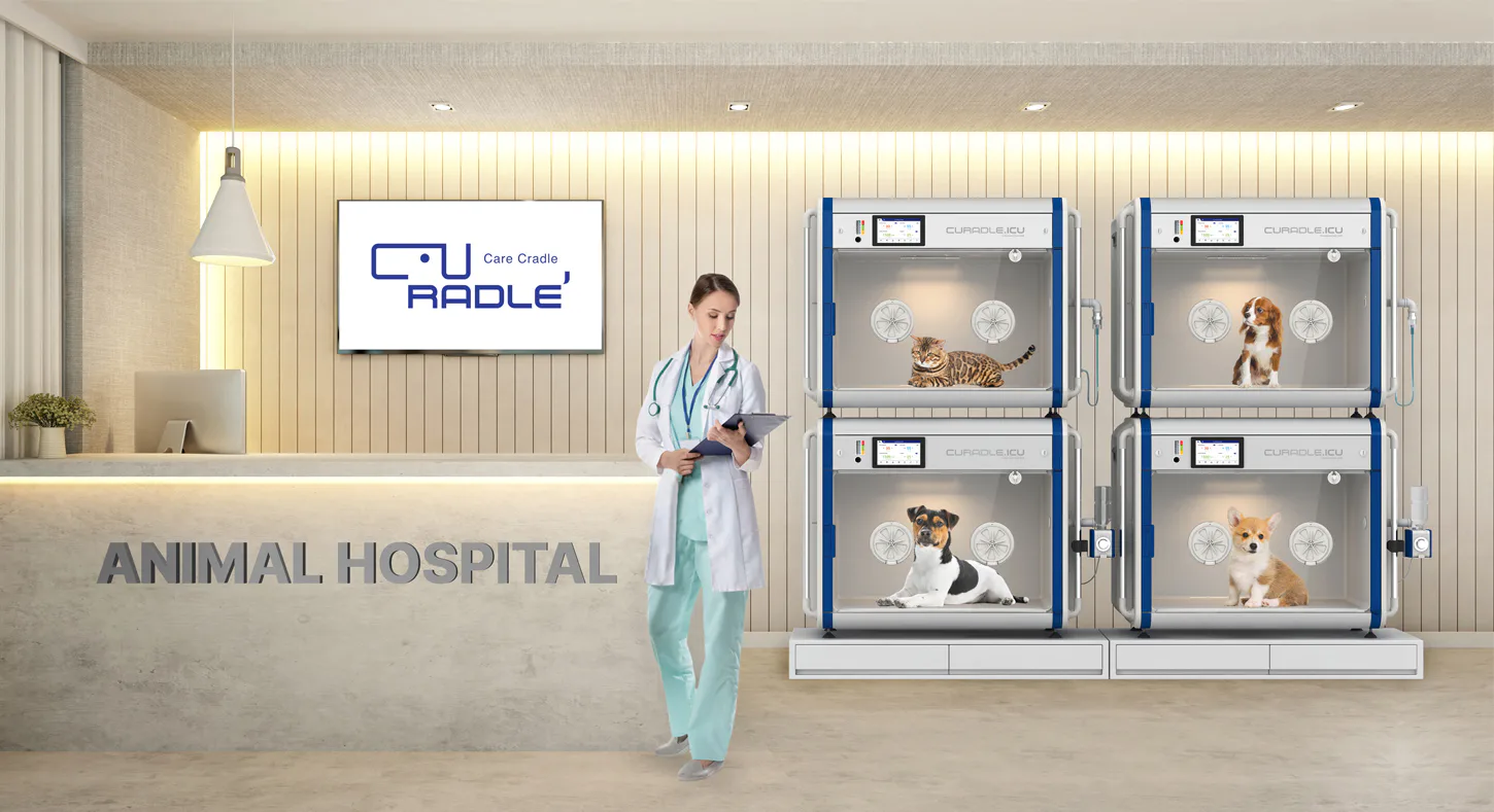 Curadle Smart Incubator ULTRA 190: Оборудование Curadle в стационаре