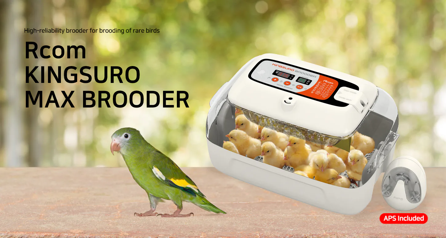 Rcom KINGSURO MAX BROODER (APS): Обзор KINGSURO MAX BROODER с APS