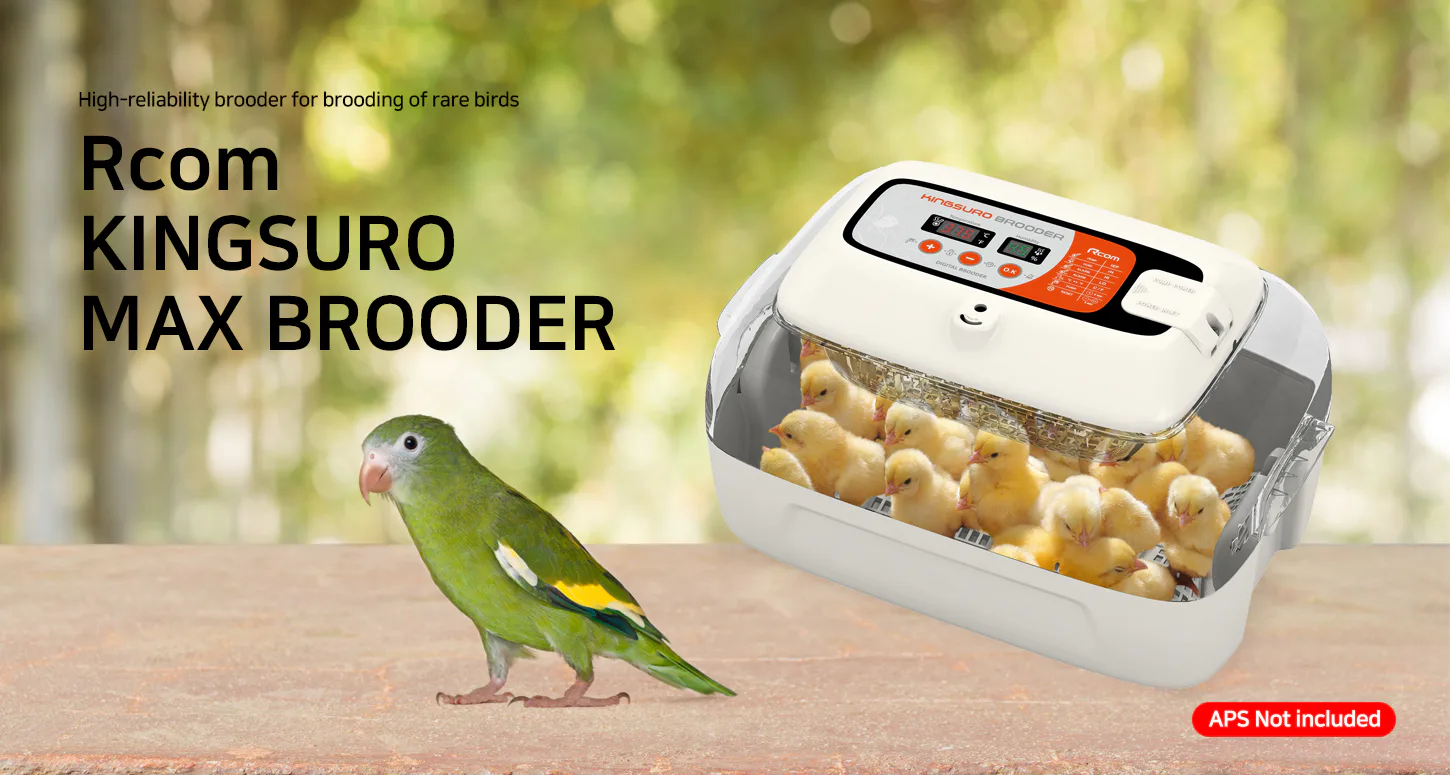 Rcom KINGSURO MAX BROODER: Обзор KINGSURO MAX BROODER без APS