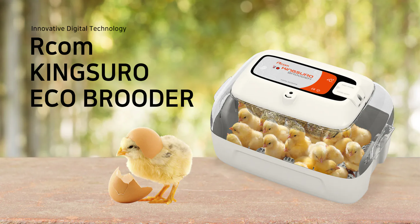 Rcom KINGSURO ECO BROODER: Обзор KINGSURO ECO BROODER