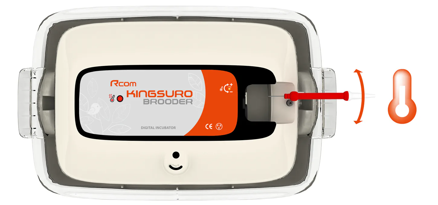 Rcom KINGSURO ECO BROODER: Панель управления температурой