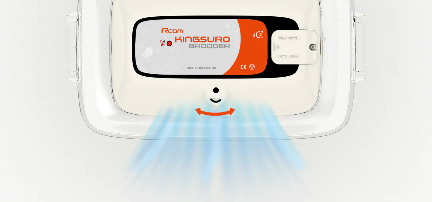 Rcom KINGSURO ECO BROODER: Циркуляция воздуха
