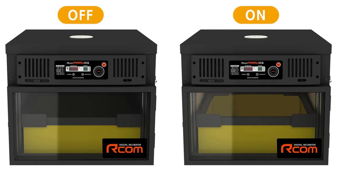 Rcom MARU DELUXE H&B 100: Внутреннее освещение