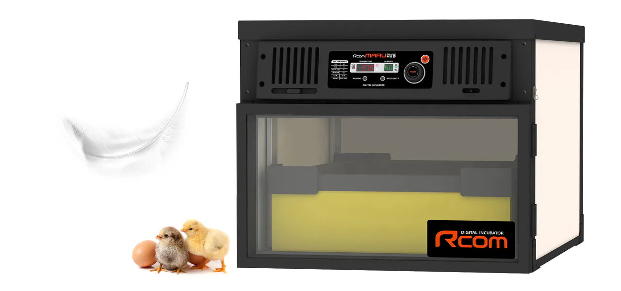 Rcom MARU DELUXE H&B 100: Брудер для молодняка