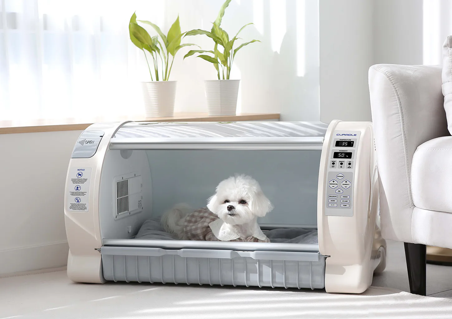 Curadle Brooder 90: Использование в домашних условиях
